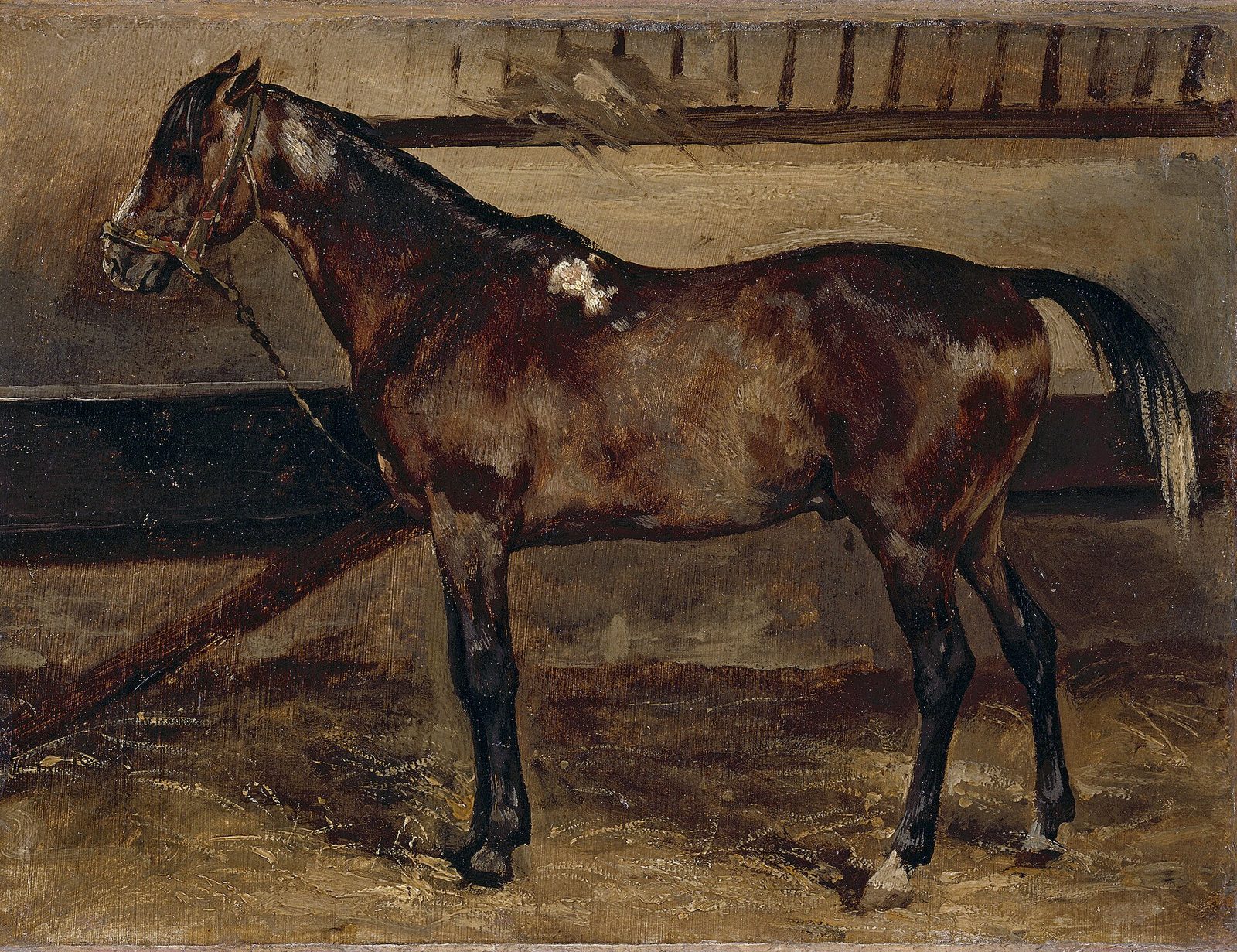 Cavallo bruno nella scuderia