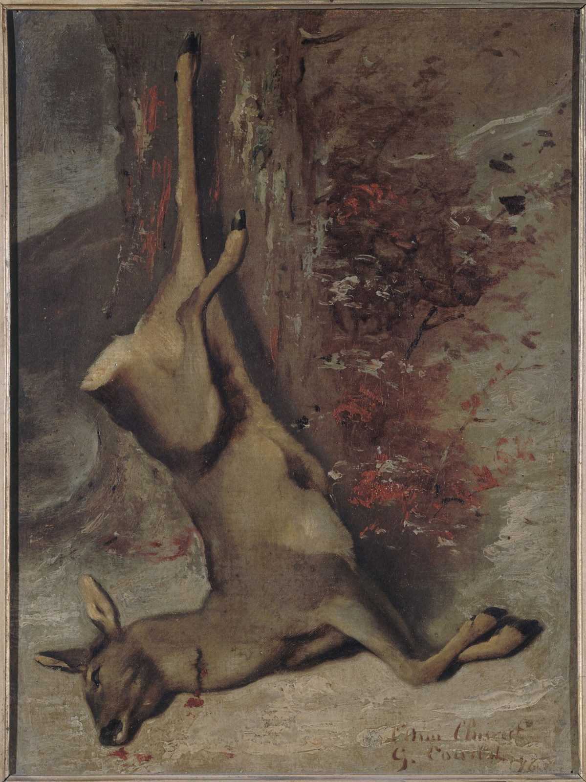 Il capriolo