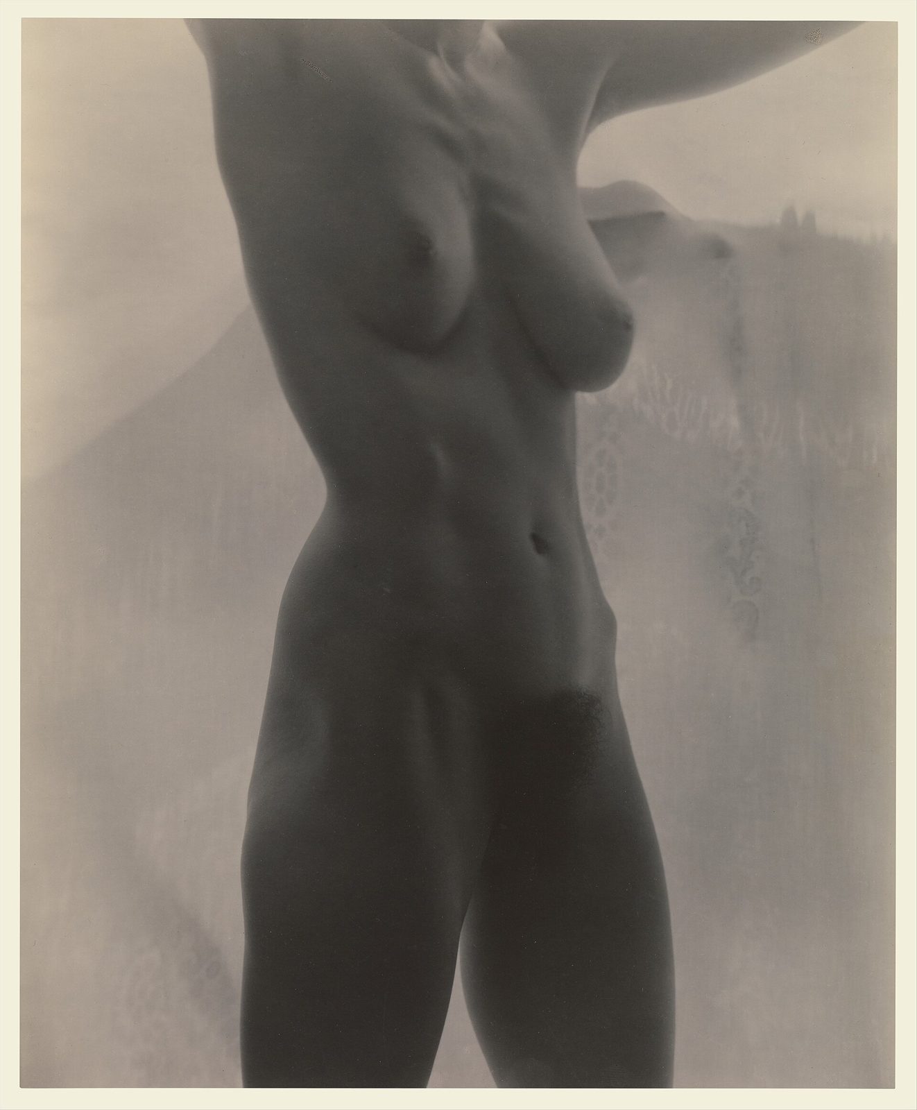 Georgia O'Keeffe - Torso