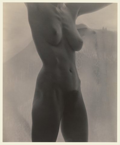 Georgia O'Keeffe - Busto