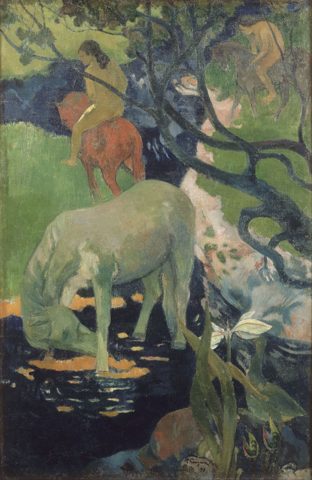 Le Cheval blanc
