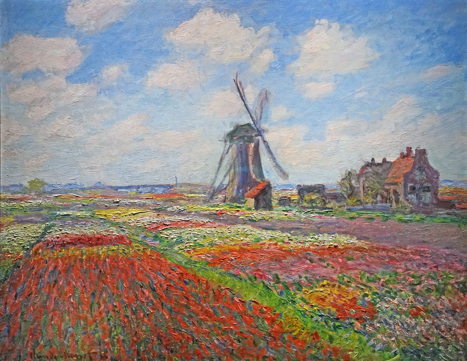 Campo di Tulipani in Olanda