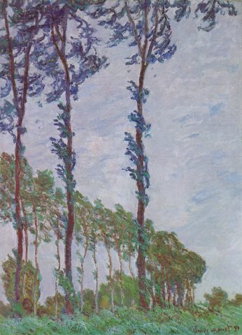 Wind Effect, Row of Poplars