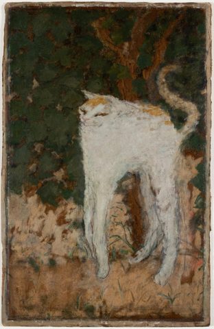 Il Gatto bianco