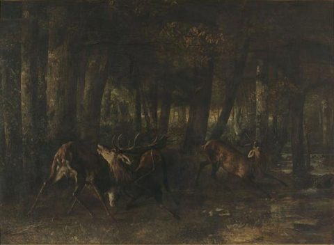 The Rut of Spring. Battle of Stags