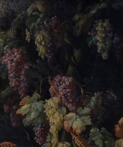 Bunches of Grapes around a Tree Trunk