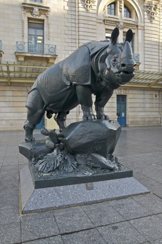 Rhinoceros