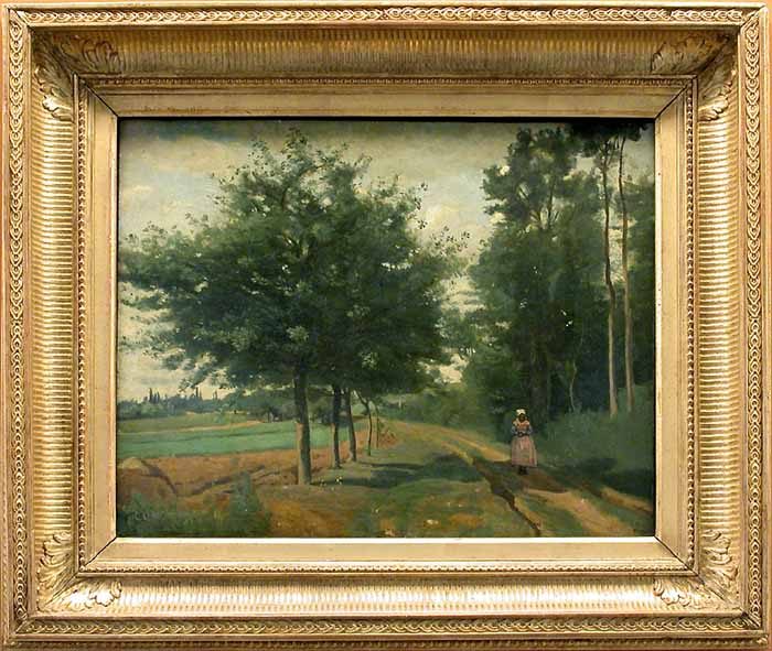 Sentiero nel Bosco