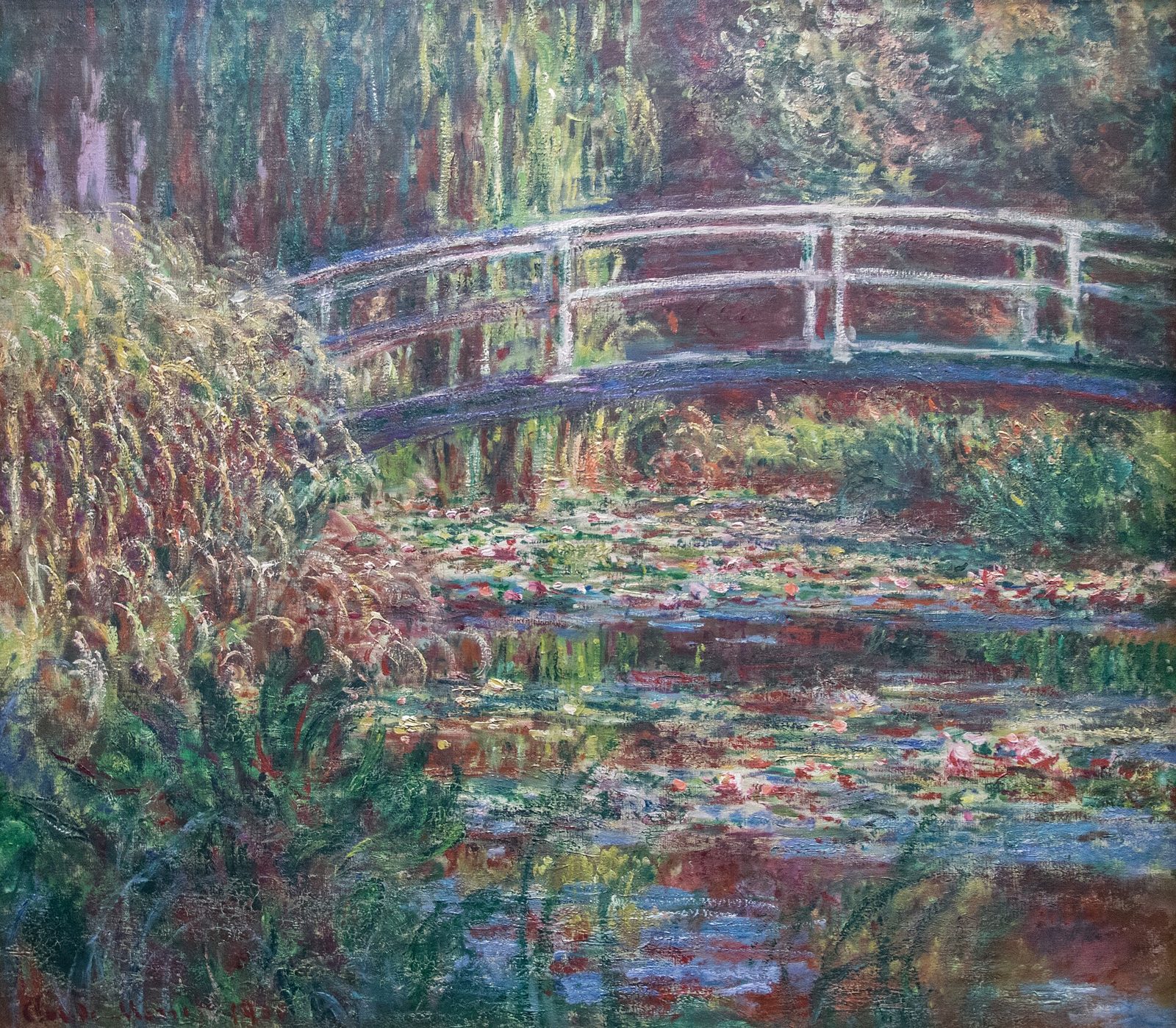 Lo stagno delle ninfee, armonia rosa