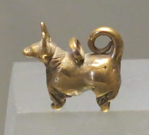 Petit chien à bélière